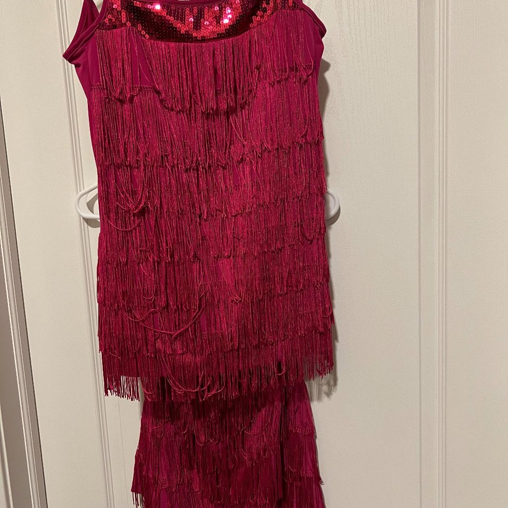 Brand New Express Hot pink fringe Mini Skirt and Top.